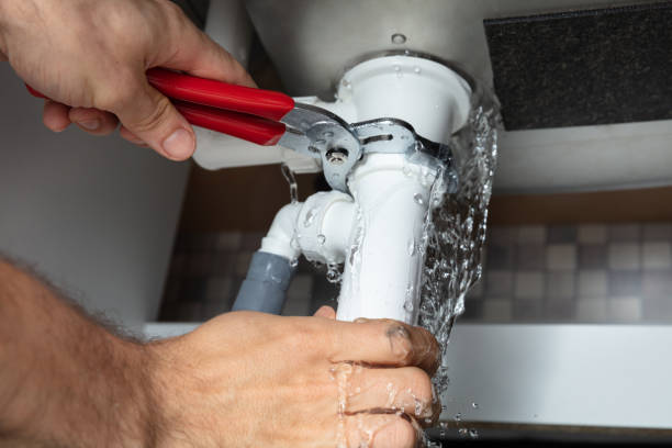 Best Carpet water damage restoration  in White Sulphur Springs, WV