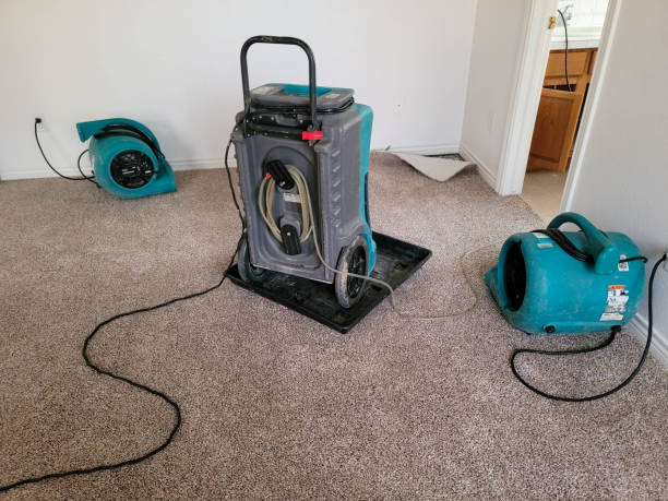 Best 24/7 water damage repair  in White Sulphur Springs, WV