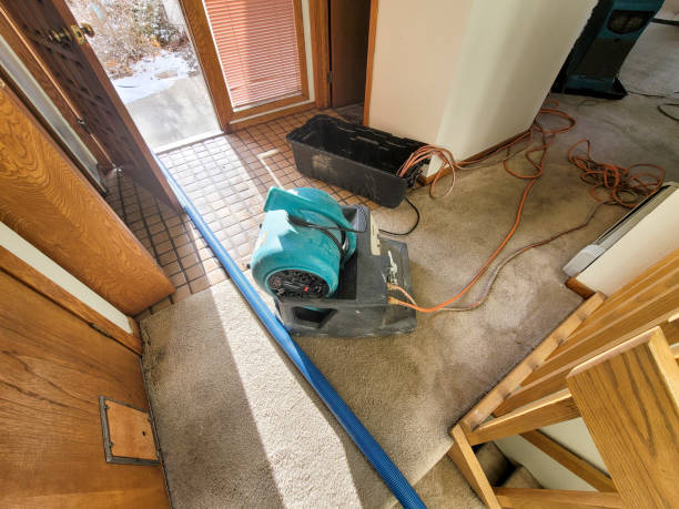 Best Emergency water extraction  in White Sulphur Springs, WV